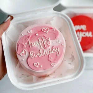 Baby Pink Bento Cake