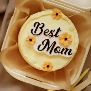 Bento Cake For Mom