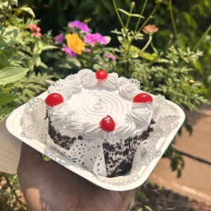 Black Forest Bento Cake