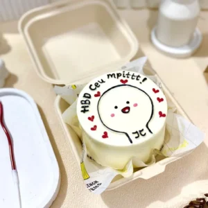 Custom Bento Cake