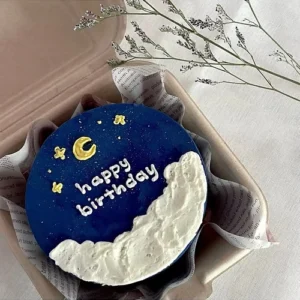 Moon Bento Cake