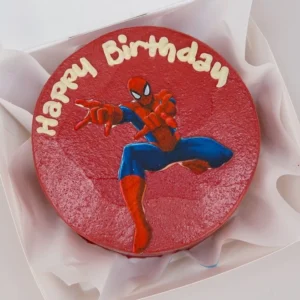 Spiderman Bento Cake