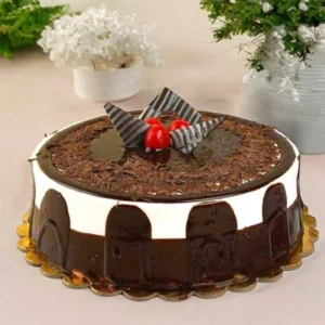 Wild Forest Cake